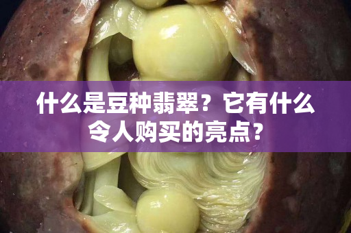 什么是豆種翡翠？它有什么令人購買的亮點？
