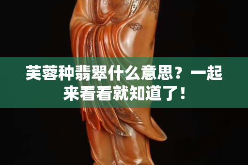 芙蓉種翡翠什么意思？一起來(lái)看看就知道了！