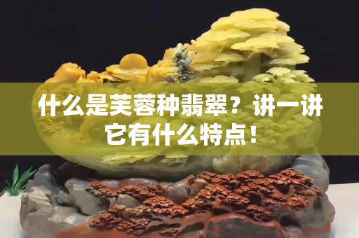 什么是芙蓉種翡翠？講一講它有什么特點！