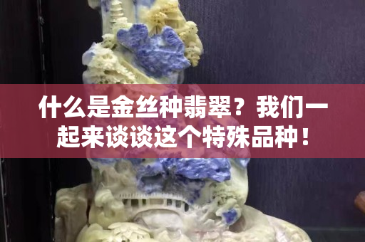 什么是金絲種翡翠？我們一起來談?wù)勥@個特殊品種！