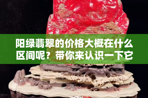 陽綠翡翠的價格大概在什么區間呢？帶你來認識一下它！