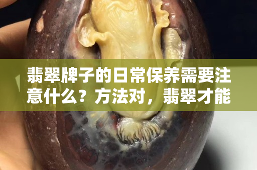翡翠牌子的日常保養(yǎng)需要注意什么？方法對(duì)，翡翠才能延長壽命！