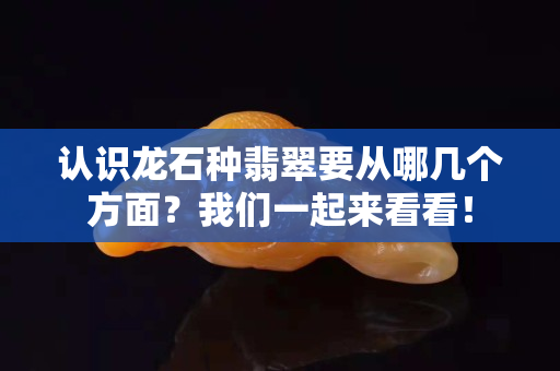 認(rèn)識(shí)龍石種翡翠要從哪幾個(gè)方面？我們一起來看看！