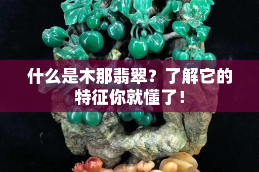 什么是木那翡翠？了解它的特征你就懂了！