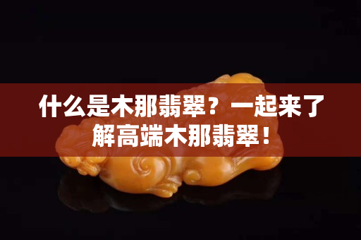 什么是木那翡翠？一起來了解高端木那翡翠！