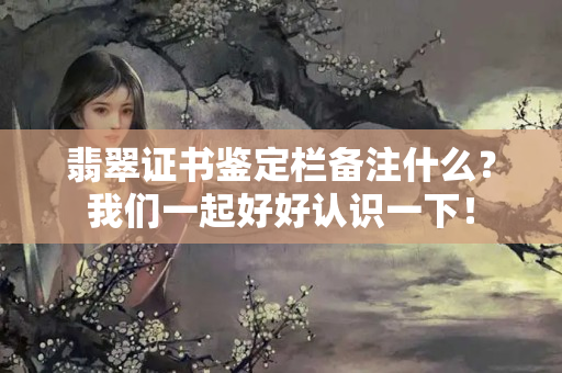 翡翠證書鑒定欄備注什么？我們一起好好認識一下！