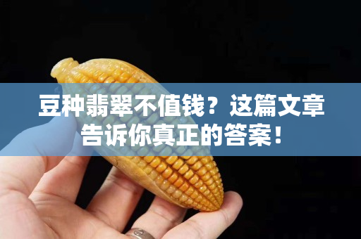 豆種翡翠不值錢？這篇文章告訴你真正的答案！