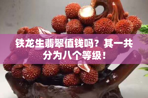 鐵龍生翡翠值錢嗎？其一共分為八個等級！