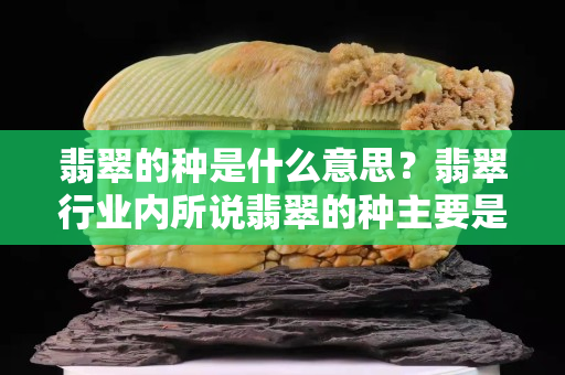 翡翠的種是什么意思？翡翠行業(yè)內(nèi)所說翡翠的種主要是指三個方面！