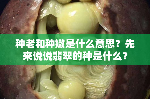 種老和種嫩是什么意思？先來說說翡翠的種是什么？