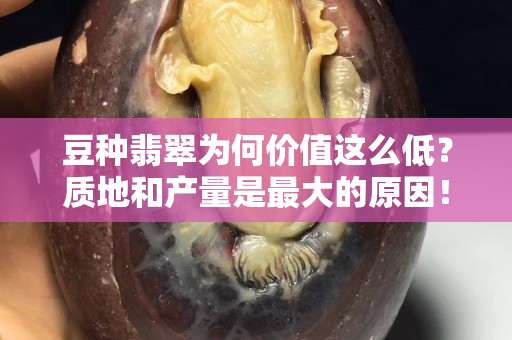 豆種翡翠為何價值這么低？質(zhì)地和產(chǎn)量是最大的原因！