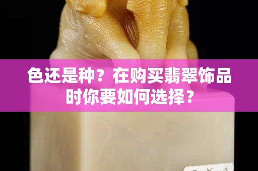 色還是種？在購(gòu)買翡翠飾品時(shí)你要如何選擇？
