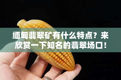 緬甸翡翠礦有什么特點？來欣賞一下知名的翡翠場口！