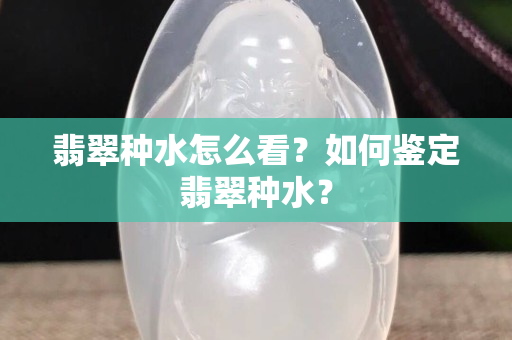 翡翠種水怎么看？如何鑒定翡翠種水？