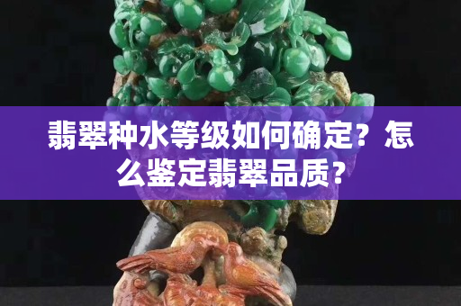 翡翠種水等級如何確定？怎么鑒定翡翠品質？