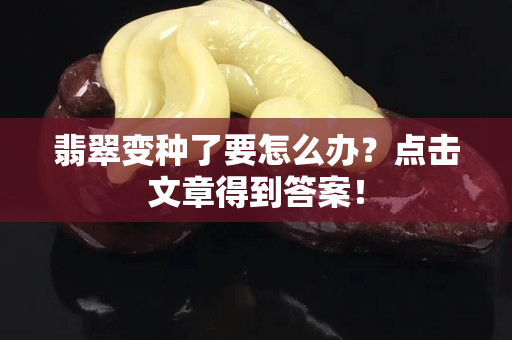 翡翠變種了要怎么辦？點(diǎn)擊文章得到答案！