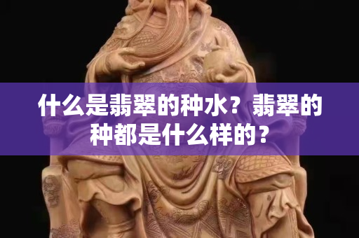 什么是翡翠的種水？翡翠的種都是什么樣的？