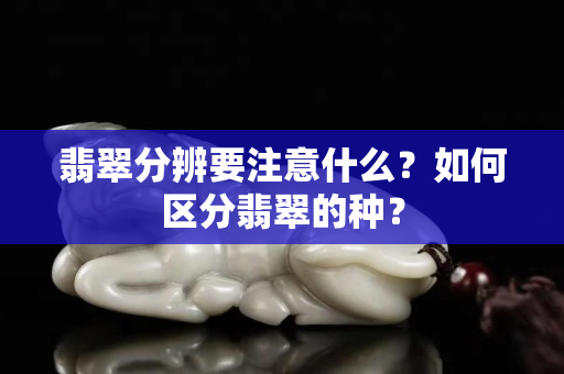 翡翠分辨要注意什么？如何區(qū)分翡翠的種？