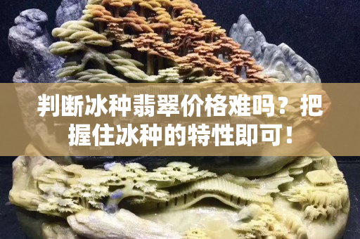 判斷冰種翡翠價格難嗎？把握住冰種的特性即可！