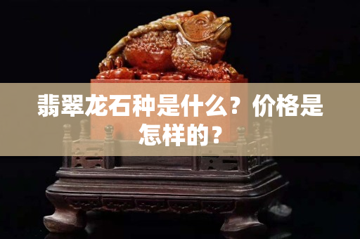 翡翠龍石種是什么？價格是怎樣的？