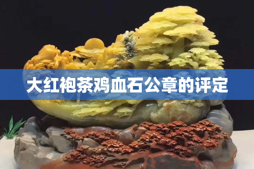 大紅袍茶雞血石公章的評定