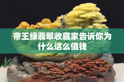 帝王綠翡翠收藏家告訴你為什么這么值錢
