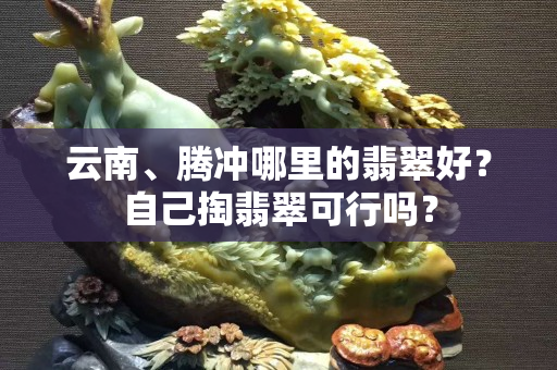 云南、騰沖哪里的翡翠好？自己掏翡翠可行嗎？