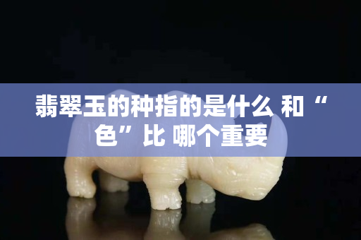 翡翠玉的種指的是什么 和“色”比 哪個重要