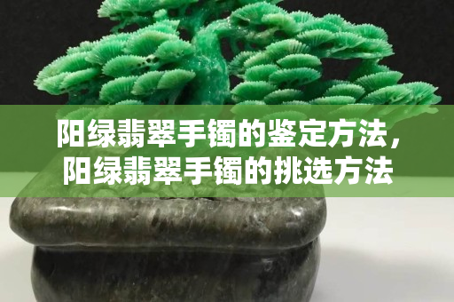 陽綠翡翠手鐲的鑒定方法，陽綠翡翠手鐲的挑選方法