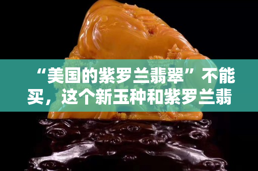 “美國的紫羅蘭翡翠”不能買，這個新玉種和紫羅蘭翡翠真的很相似