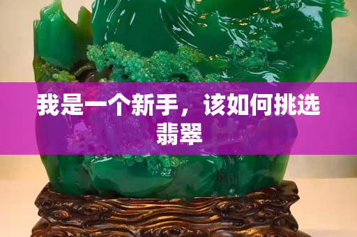 我是一個新手，該如何挑選翡翠