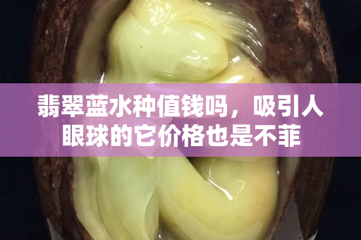 翡翠藍水種值錢嗎，吸引人眼球的它價格也是不菲