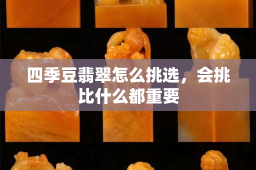 四季豆翡翠怎么挑選，會挑比什么都重要