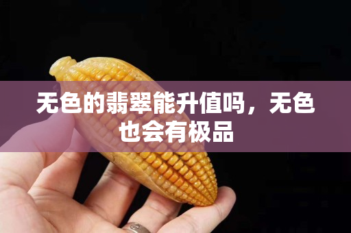 無色的翡翠能升值嗎，無色也會有極品