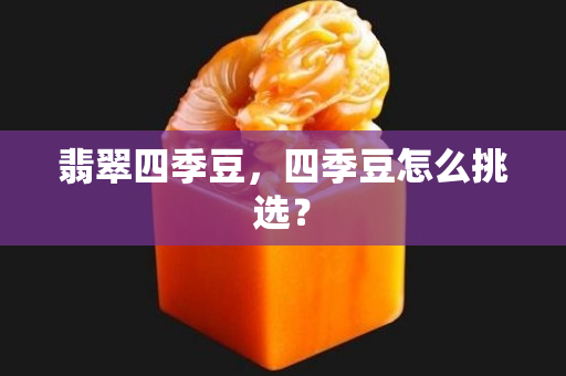 翡翠四季豆，四季豆怎么挑選？