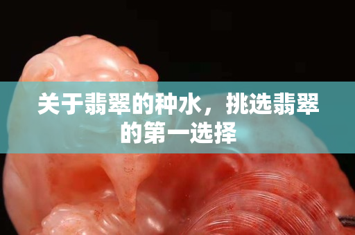 關于翡翠的種水，挑選翡翠的第一選擇