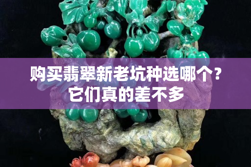 購(gòu)買翡翠新老坑種選哪個(gè)？它們真的差不多
