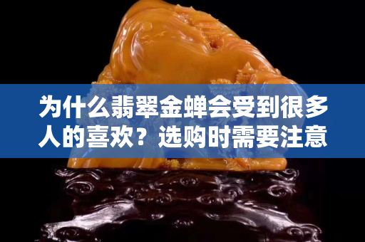 為什么翡翠金蟬會受到很多人的喜歡？選購時需要注意的是這個！