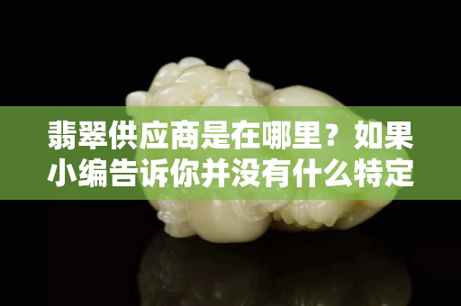 翡翠供應商是在哪里？如果小編告訴你并沒有什么特定的翡翠供應商呢！