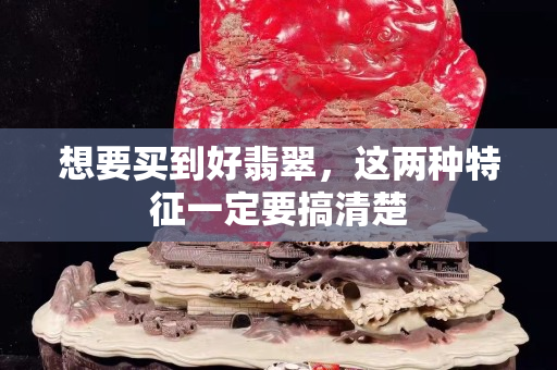 想要買到好翡翠，這兩種特征一定要搞清楚