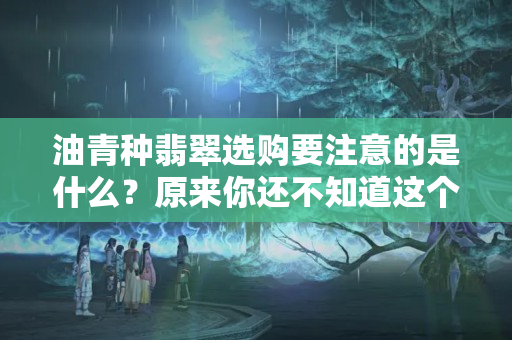 油青種翡翠選購要注意的是什么？原來你還不知道這個么