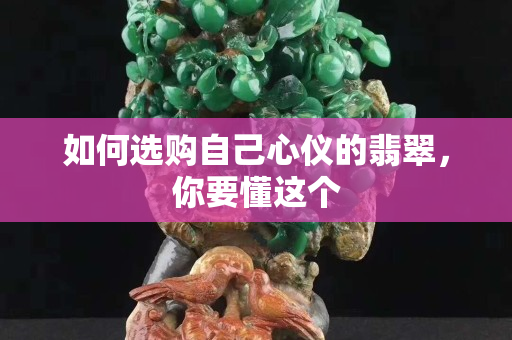 如何選購自己心儀的翡翠，你要懂這個
