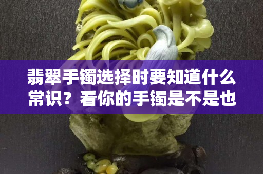翡翠手鐲選擇時要知道什么常識？看你的手鐲是不是也符合這幾點