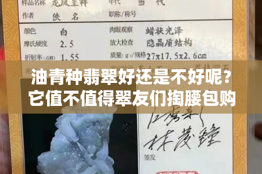 油青種翡翠好還是不好呢？它值不值得翠友們掏腰包購買呢？