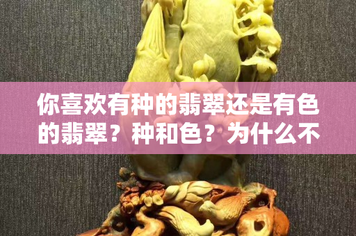 你喜歡有種的翡翠還是有色的翡翠？種和色？為什么不全部選擇呢！