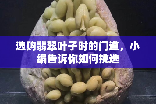 選購翡翠葉子時的門道，小編告訴你如何挑選