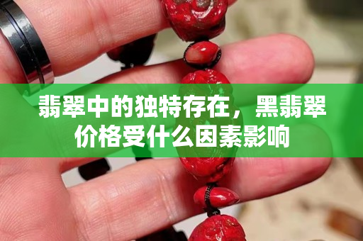 翡翠中的獨特存在，黑翡翠價格受什么因素影響