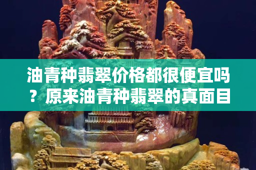 油青種翡翠價格都很便宜嗎？原來油青種翡翠的真面目是這樣的