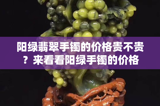 陽綠翡翠手鐲的價格貴不貴？來看看陽綠手鐲的價格