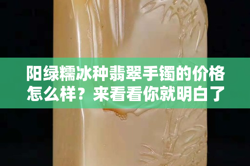 陽綠糯冰種翡翠手鐲的價(jià)格怎么樣？來看看你就明白了